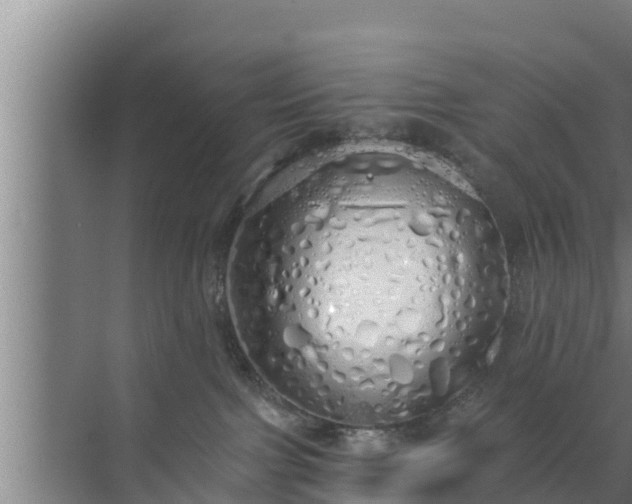 X0000072990091200607290025