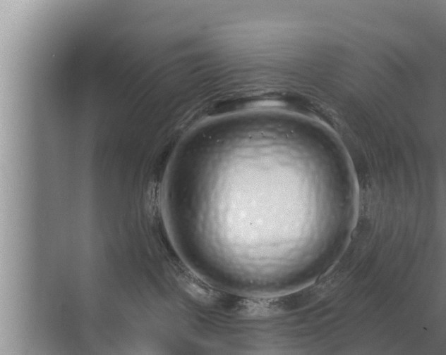 X0000072990093200607290025