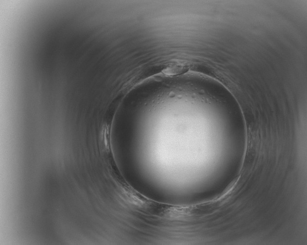 X0000072990094200607290025