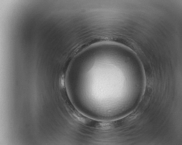 X0000072990095200607290025