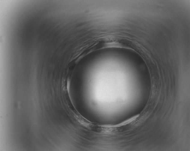 X0000072990096200607290025