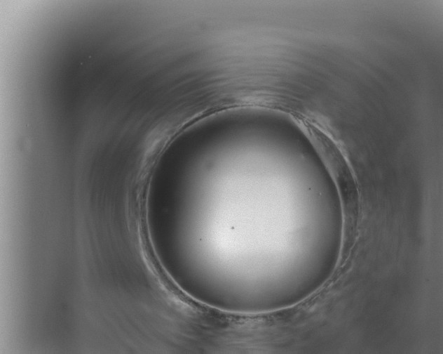 X0000072990097200607290024