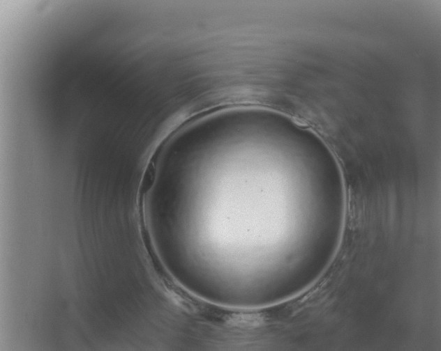 X0000072990099200607290024