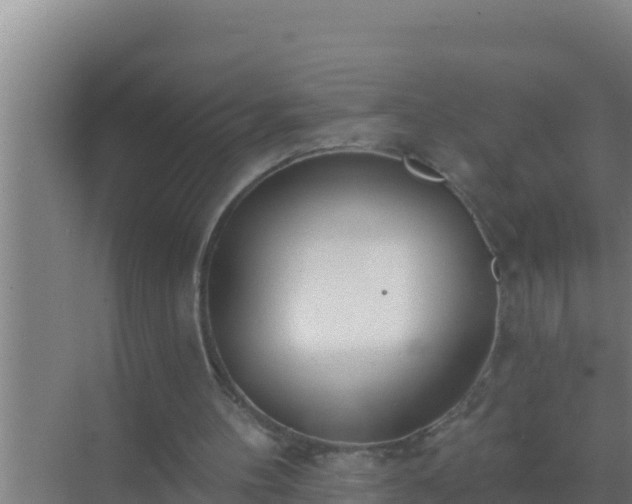 X0000072990100200607290024