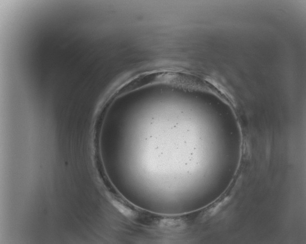 X0000072990101200607290024