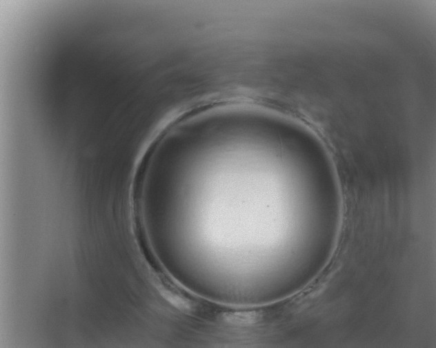 X0000072990102200607290024