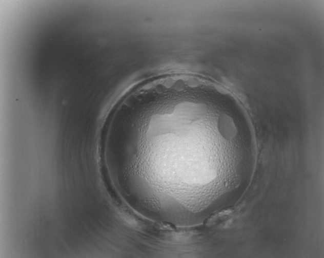 X0000072990103200607290024