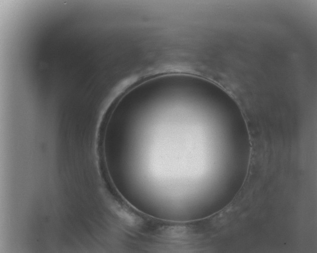 X0000072990104200607290024