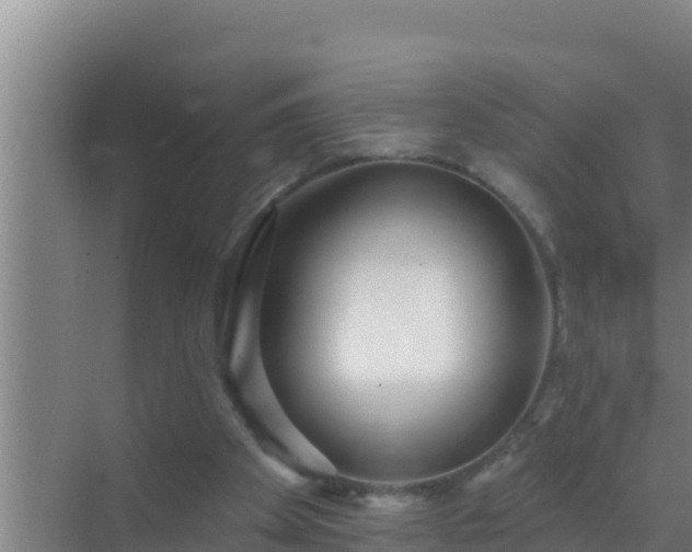 X0000072990105200607290024