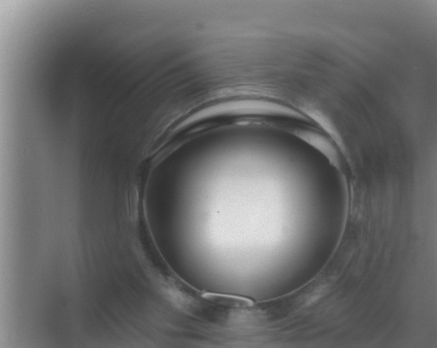 X0000072990109200607290024