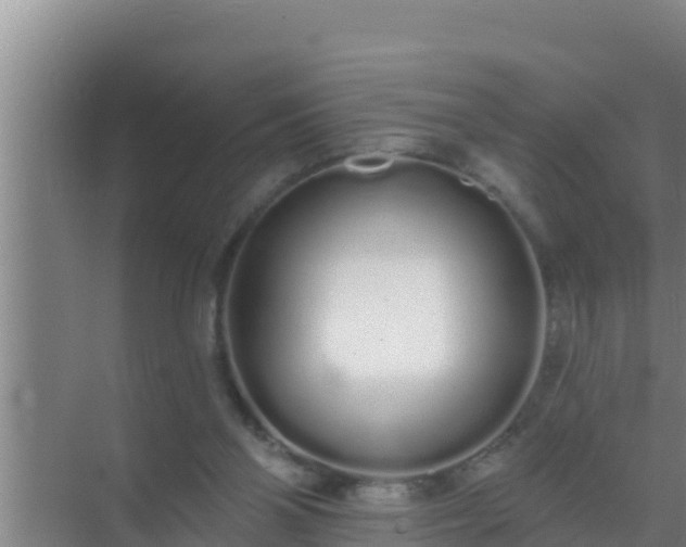 X0000072990110200607290024