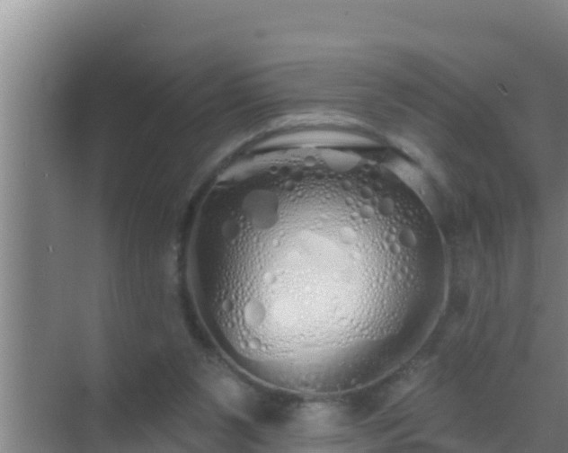 X0000072990111200607290024