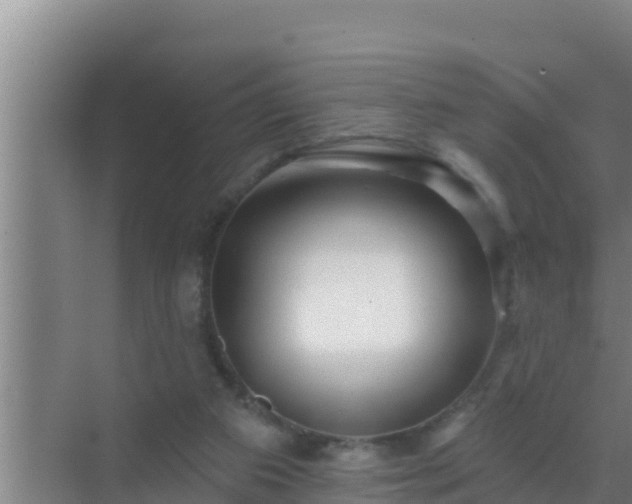 X0000072990113200607290024