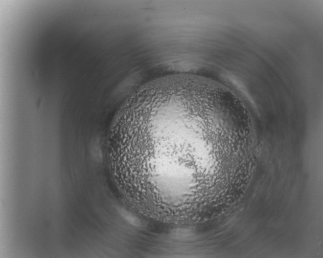 X0000072990114200607290024