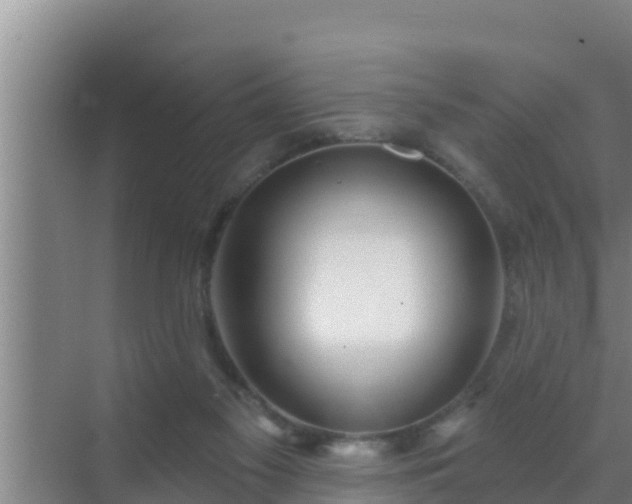 X0000072990117200607290024