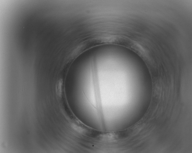 X0000072990118200607290024