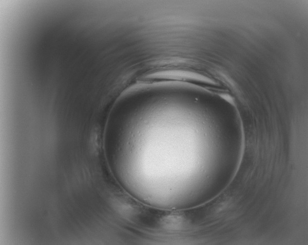 X0000072990119200607290024