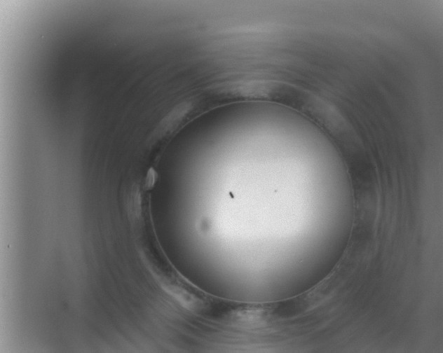 X0000072990120200607290024