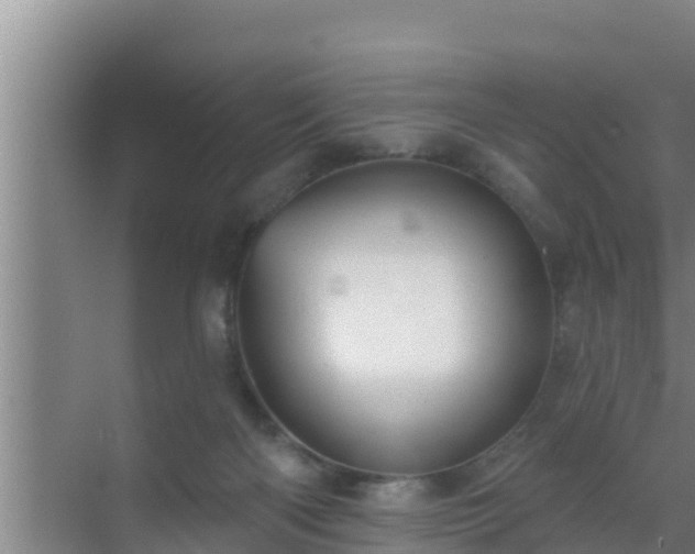 X0000072990122200607290024