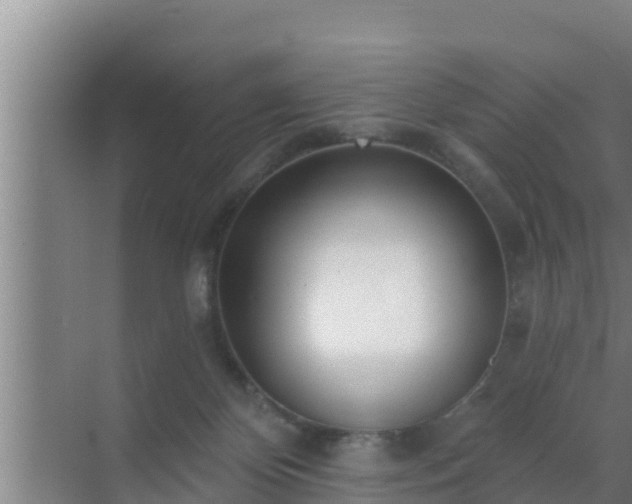 X0000072990124200607290024