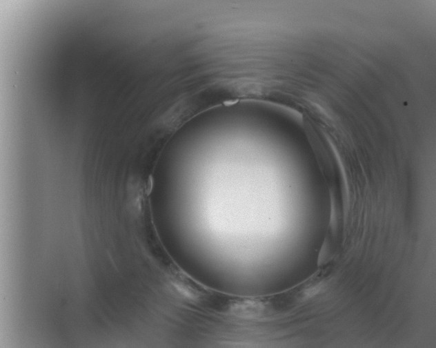 X0000072990125200607290024