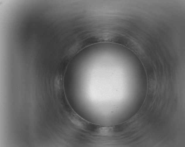 X0000072990126200607290024