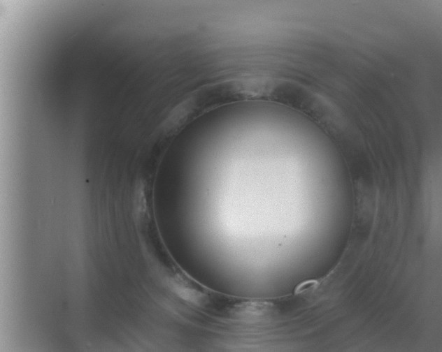 X0000072990128200607290024