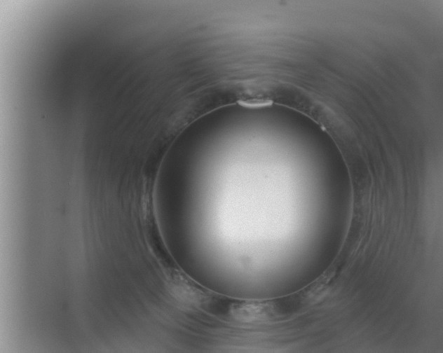 X0000072990129200607290024