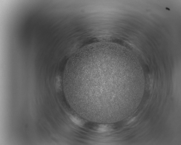 X0000072990130200607290024