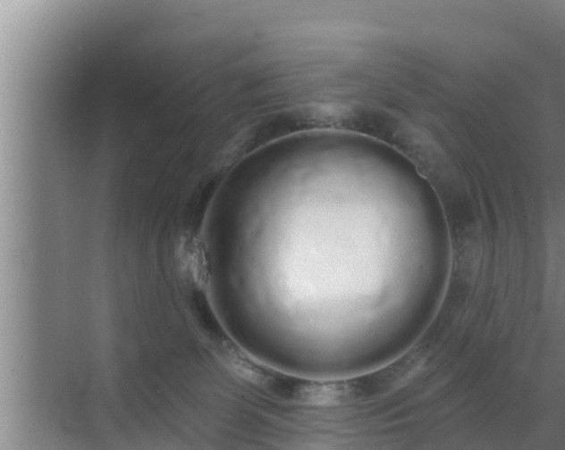 X0000072990131200607290024