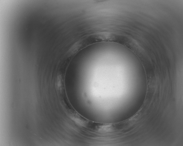 X0000072990132200607290024