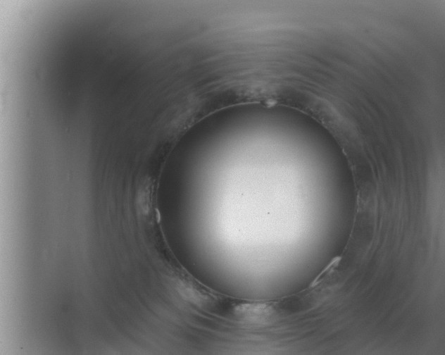 X0000072990133200607290024