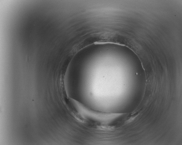 X0000072990137200607290023