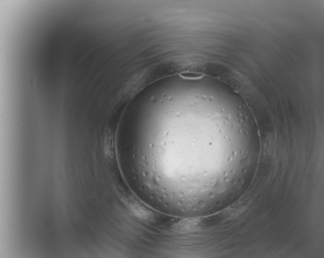 X0000072990138200607290023