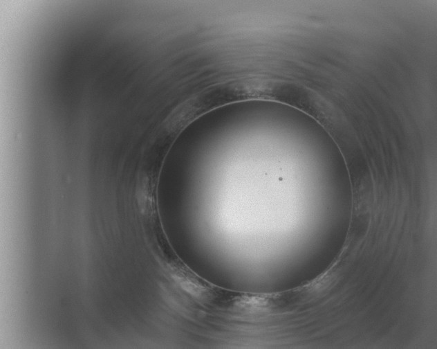 X0000072990140200607290023