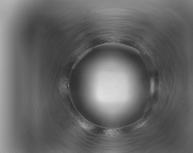 X0000072990141200607290023