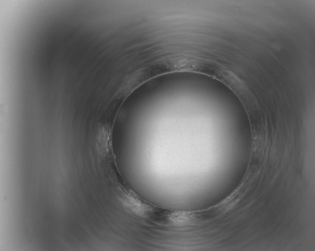 X0000072990142200607290023