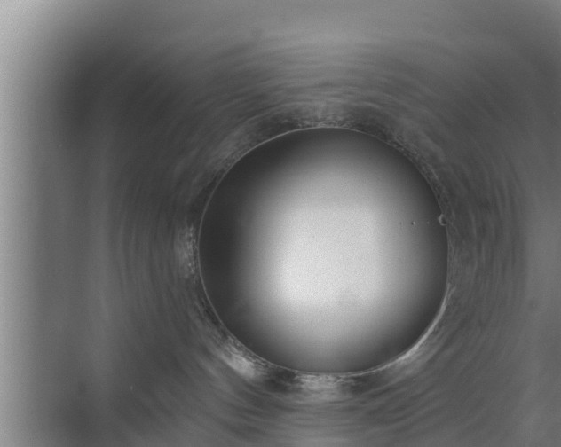 X0000072990144200607290023