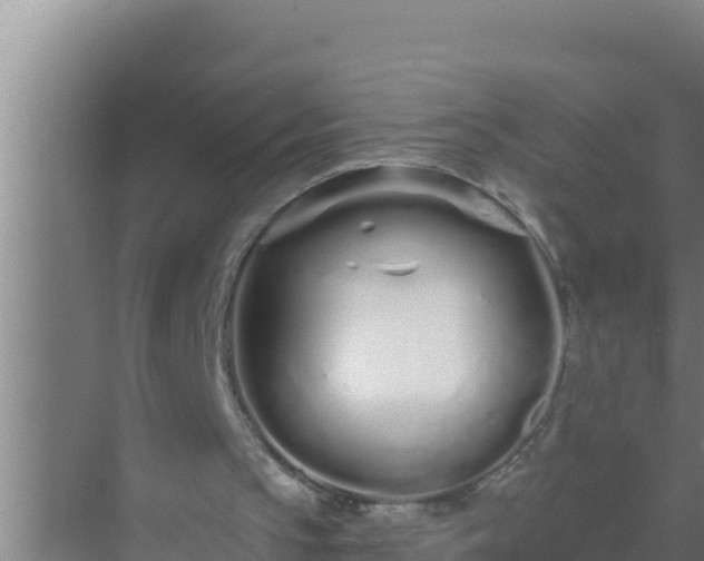 X0000072990145200607290022