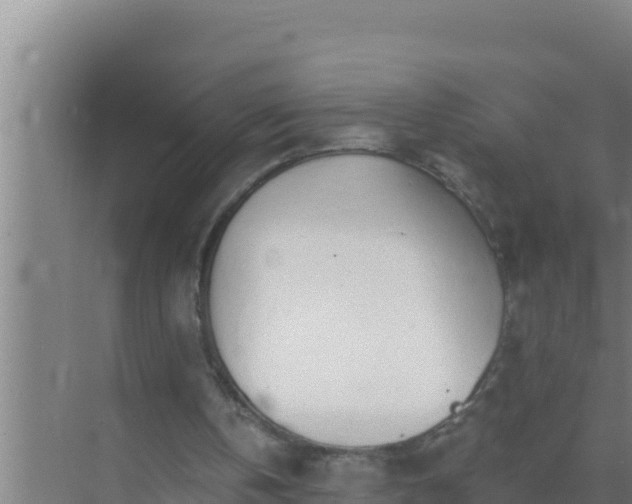 X0000072990146200607290023