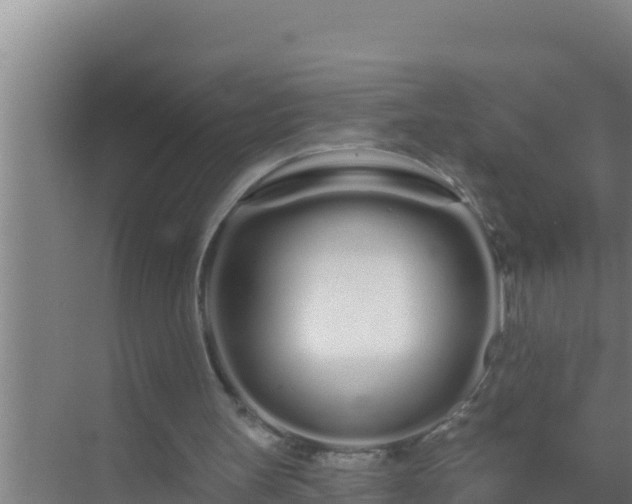 X0000072990147200607290023