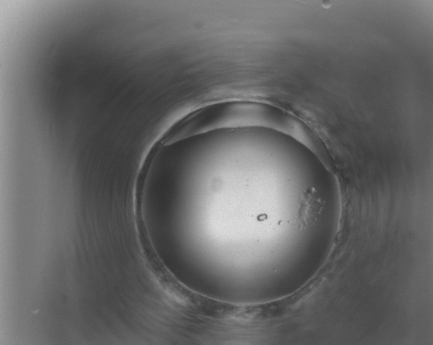 X0000072990148200607290023