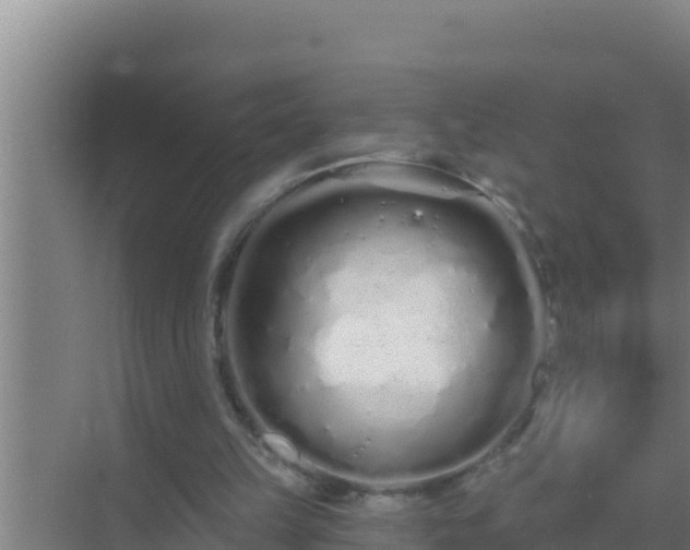 X0000072990149200607290023