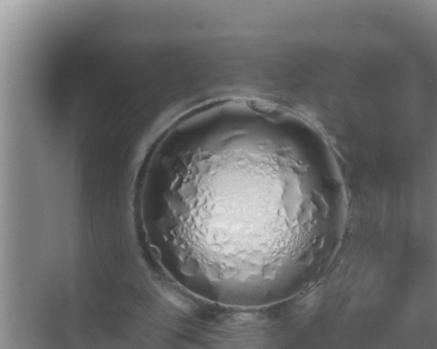 X0000072990151200607290023