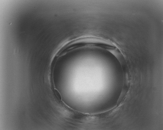 X0000072990152200607290023