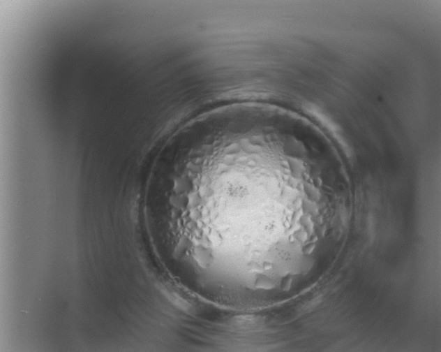 X0000072990153200607290023