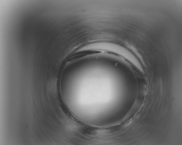 X0000072990154200607290023