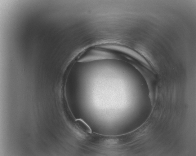 X0000072990156200607290023