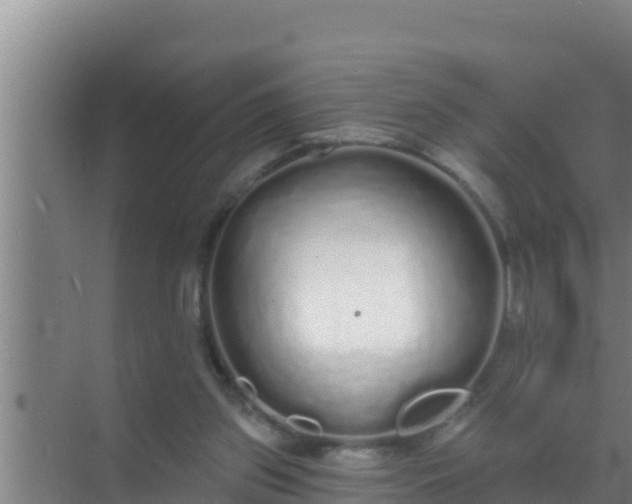 X0000072990157200607290023