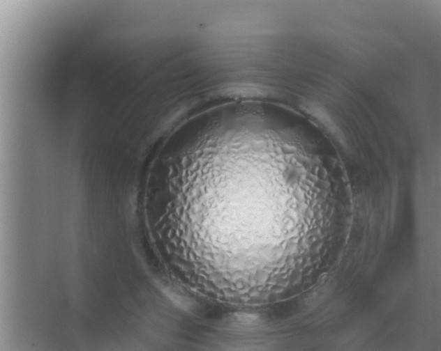 X0000072990159200607290023